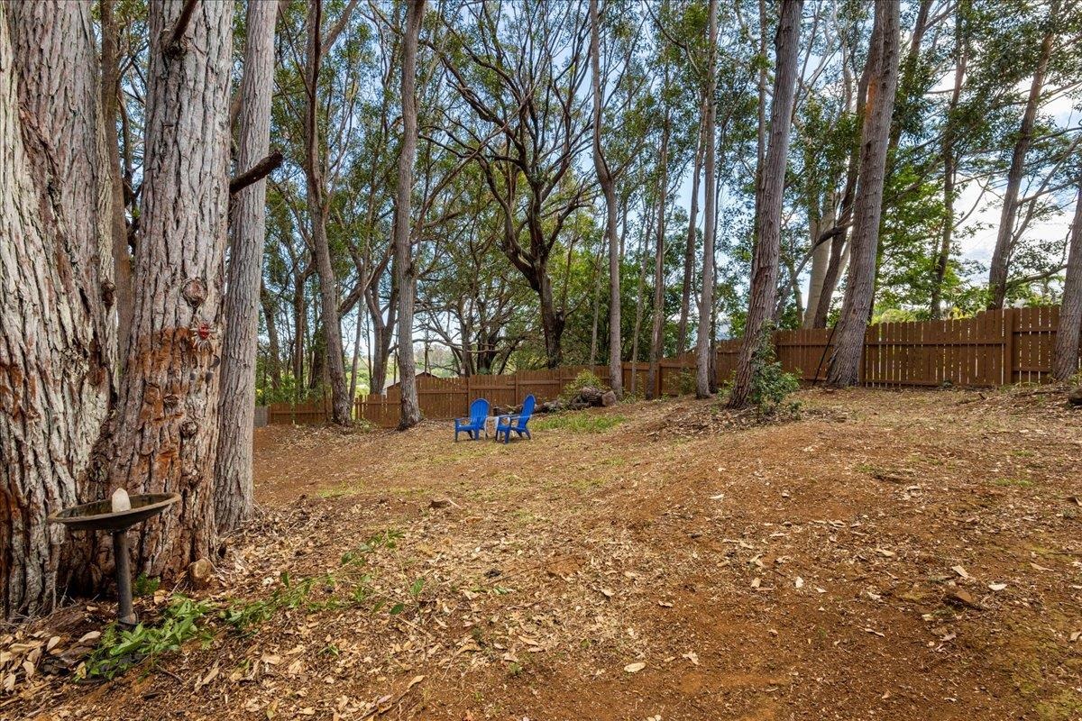 10 Poko Way, Unit B Haiku, HI 96708 - Photo 34 of 37 a view of backyard with tree