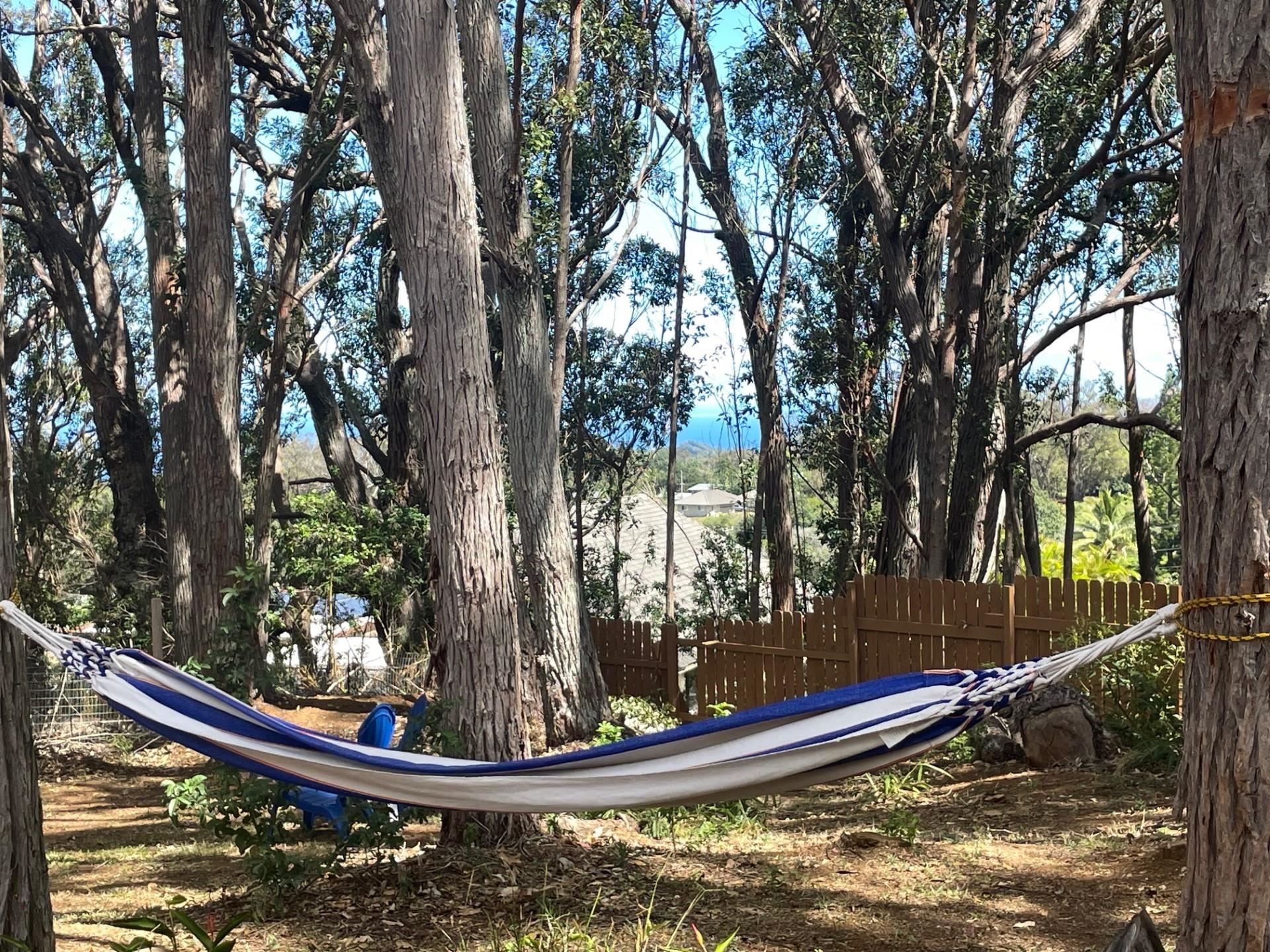 10 Poko Way, Unit B Haiku, HI 96708 - Photo 4 of 37 a view of a small pond
