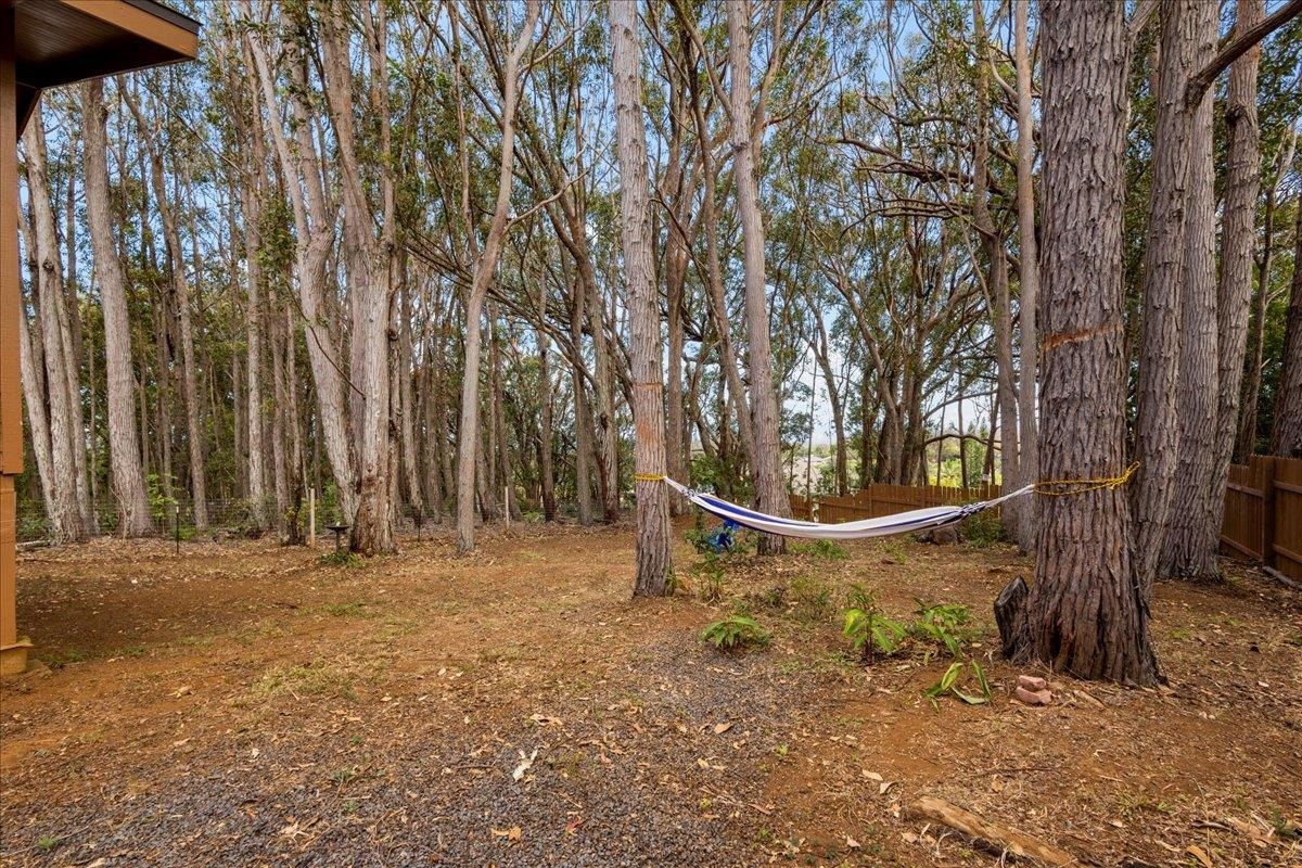 10 Poko Way, Unit B Haiku, HI 96708 - Photo 5 of 37 a view of outdoor space with trees
