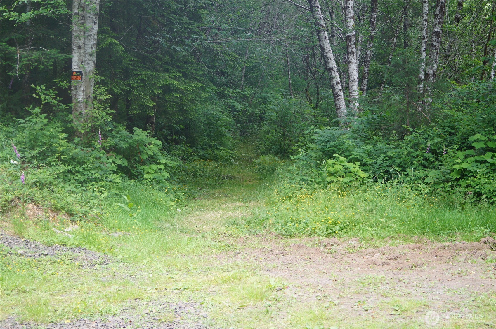 -off Of Panhandle Road Hoquiam, WA 98550 - Photo 2 of 13