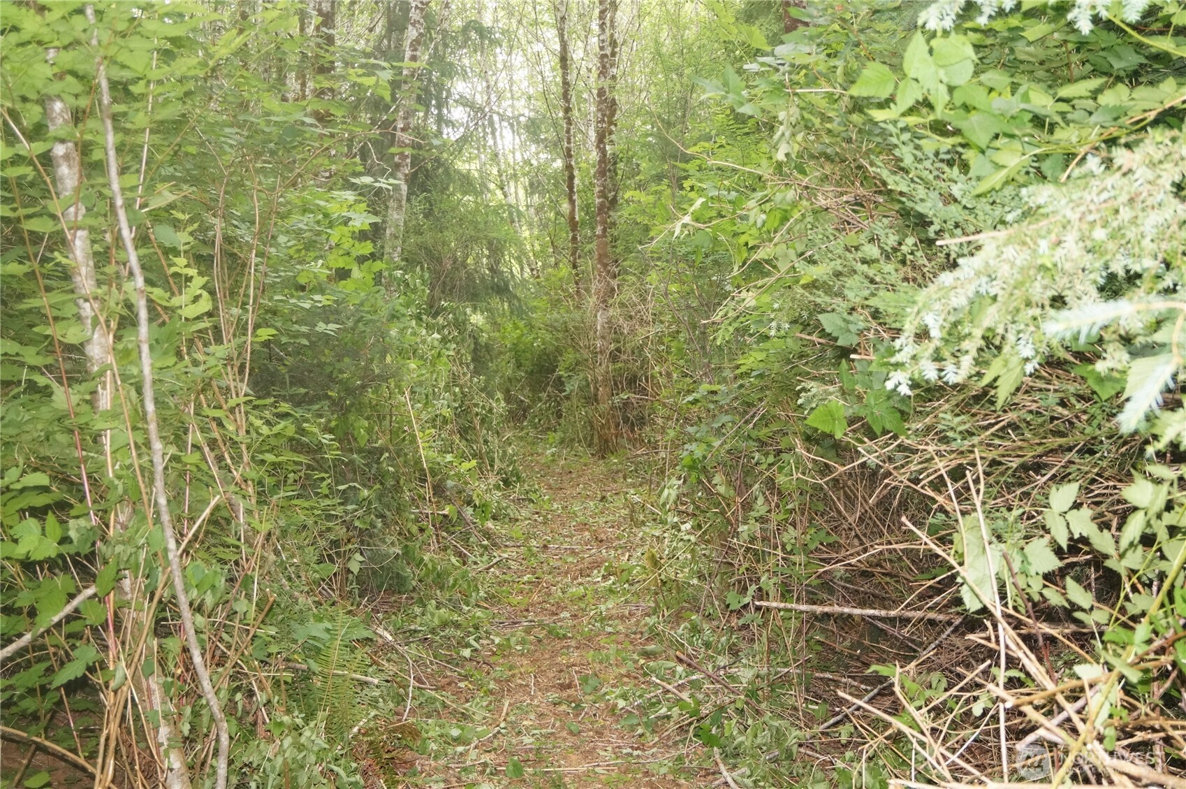 -off Of Panhandle Road Hoquiam, WA 98550 - Photo 6 of 13