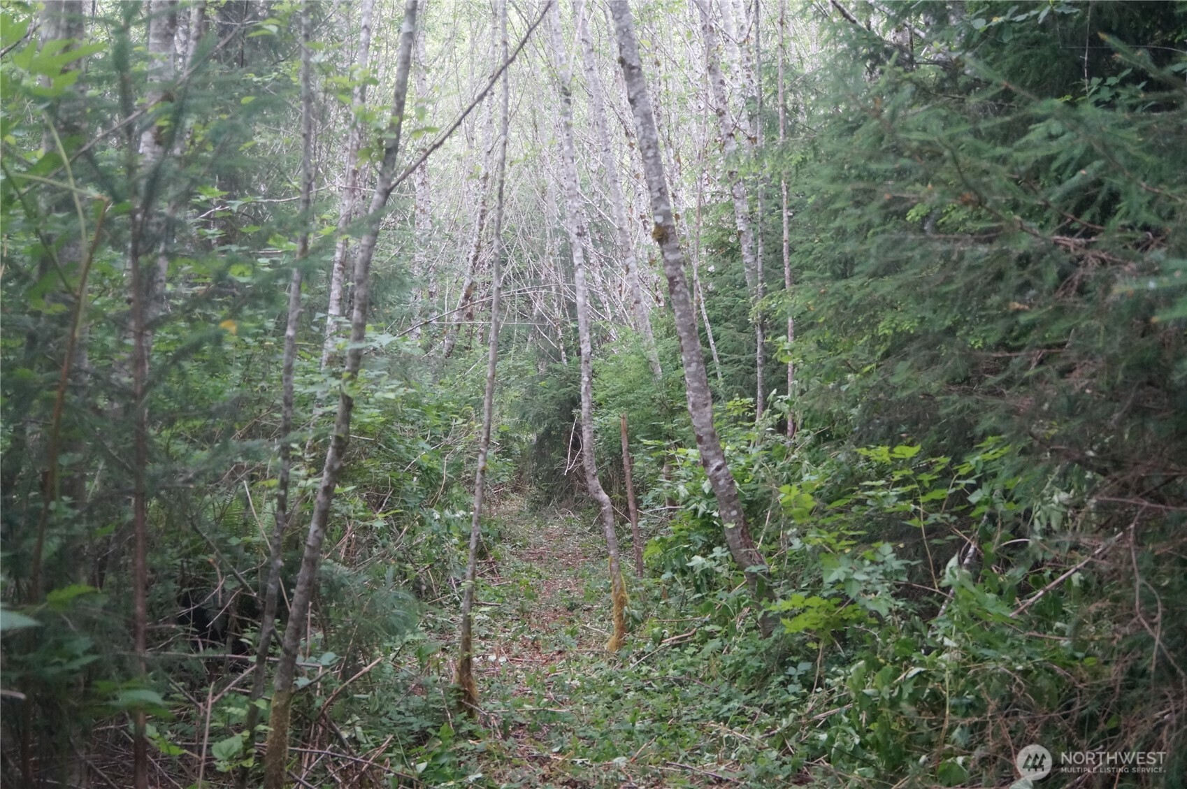 -off Of Panhandle Road Hoquiam, WA 98550 - Photo 8 of 13