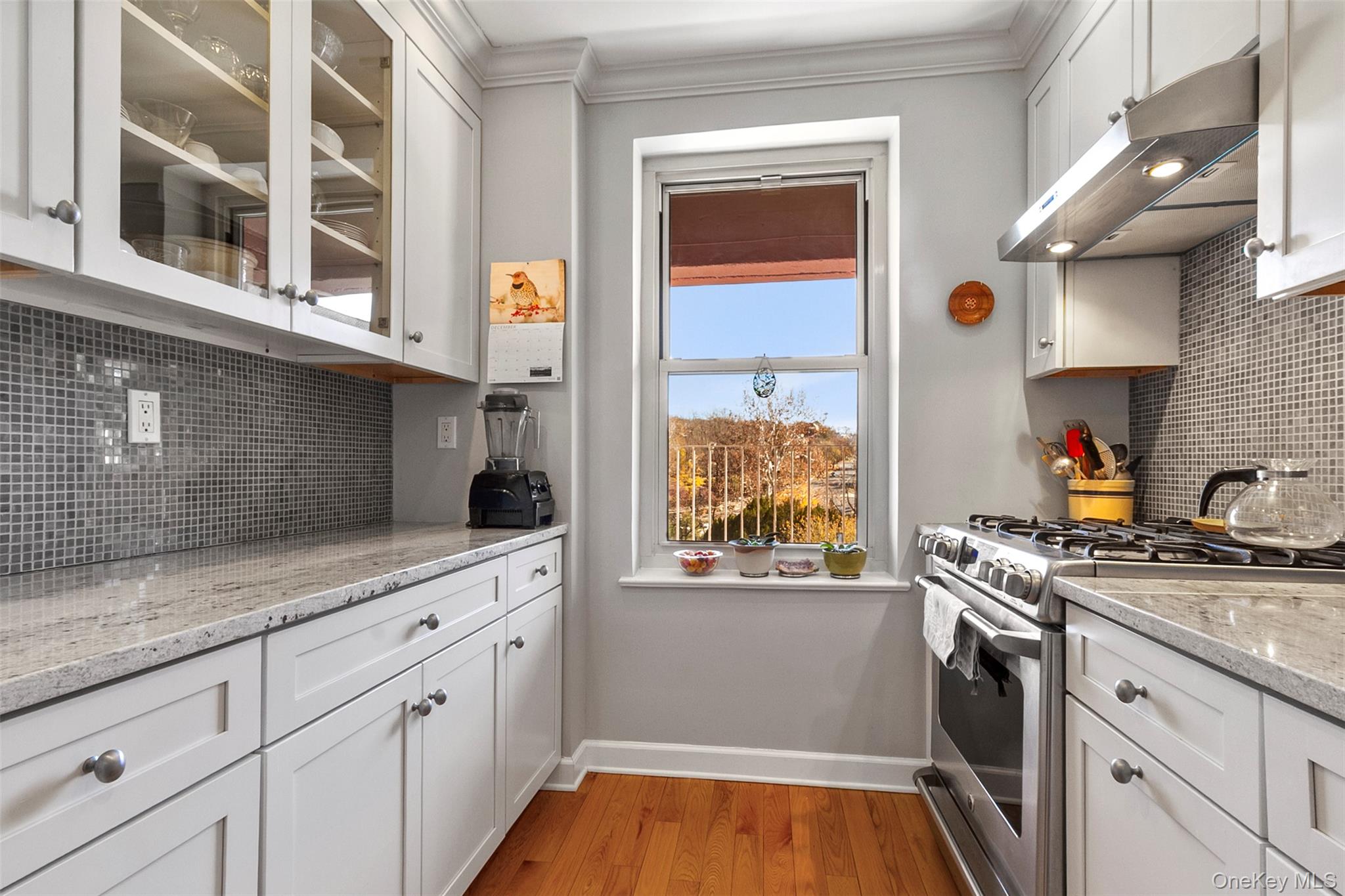 565 Broadway, Unit 4A Hastings-on-Hudson, NY 10706 - Photo 11 of 19 a kitchen with stainless steel appliances granite countertop a stove a sink and a microwave