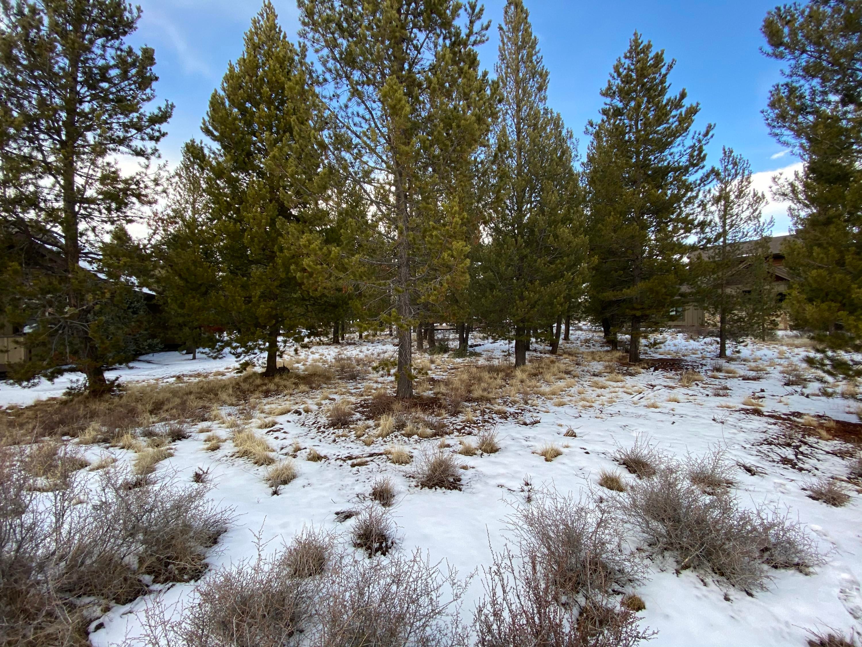 56760 Dancing Rock Loop Bend, OR 97707 - Photo 10 of 22 10