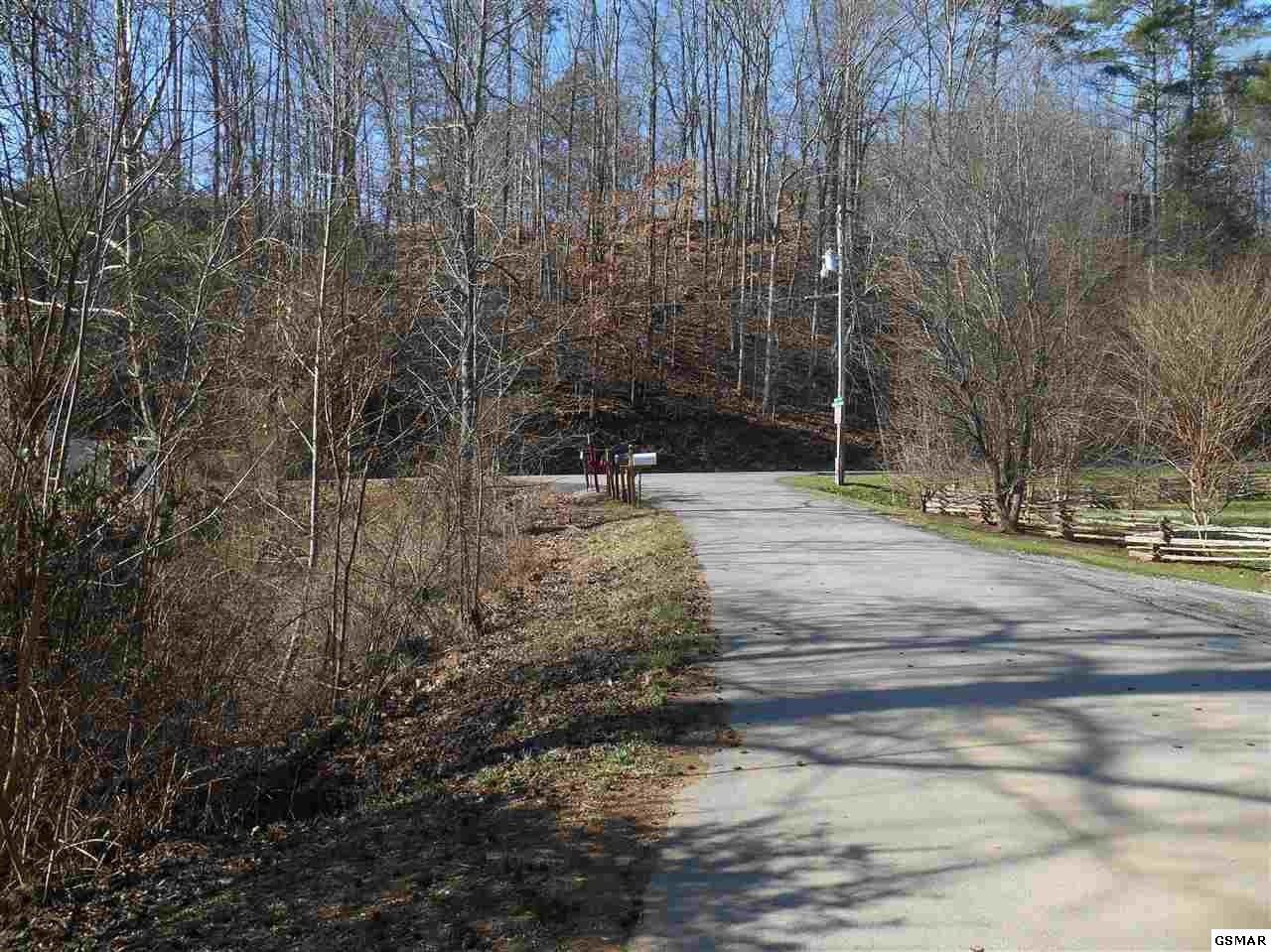 23 Walden Ridge Sevierville, TN 37862 - Photo 4 of 5 a view of a yard with trees