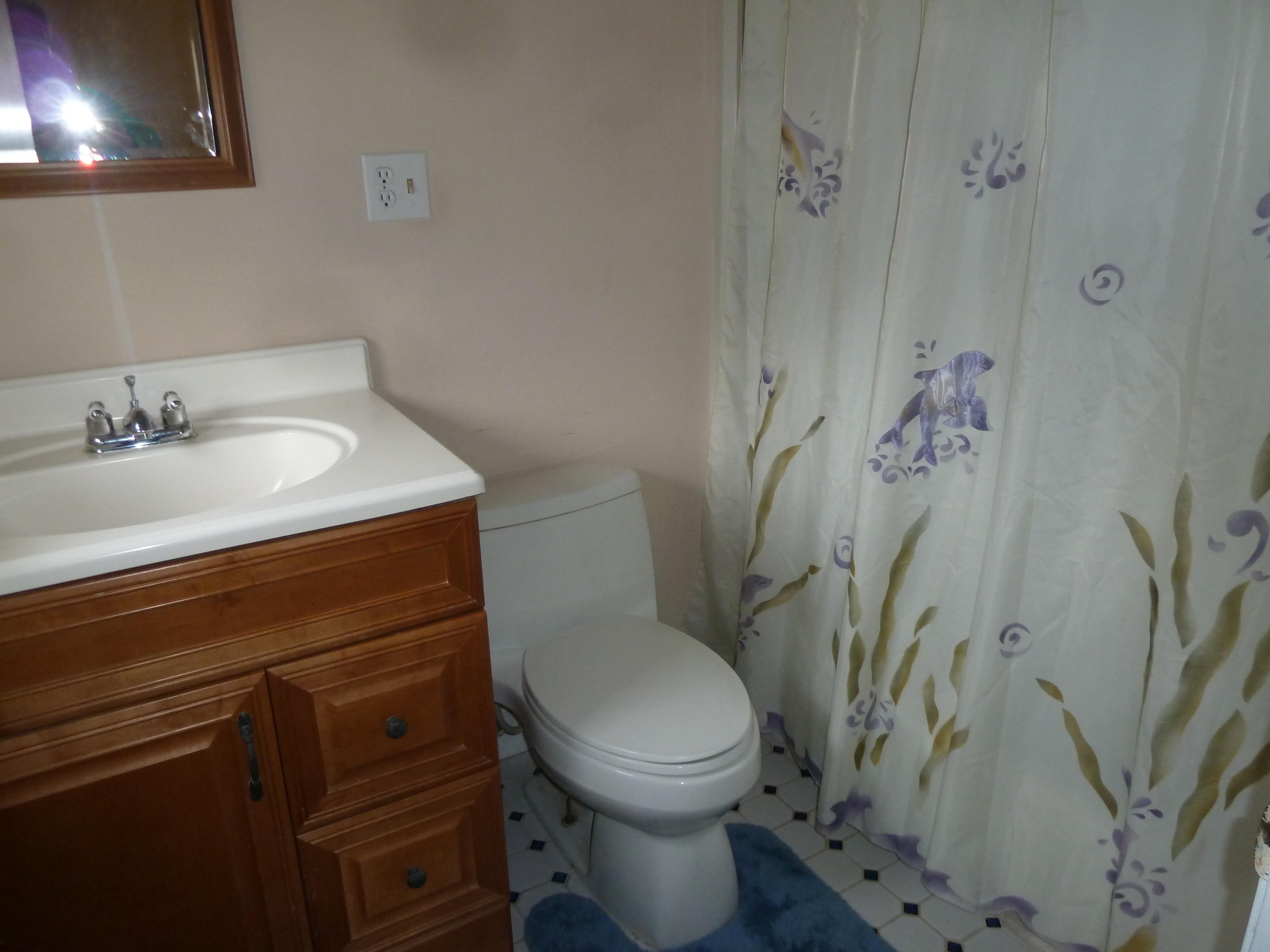 13692 West Gretna Road Sandy Level, VA 24161 - Photo 20 of 58 a bathroom with a sink a toilet and shower curtain
