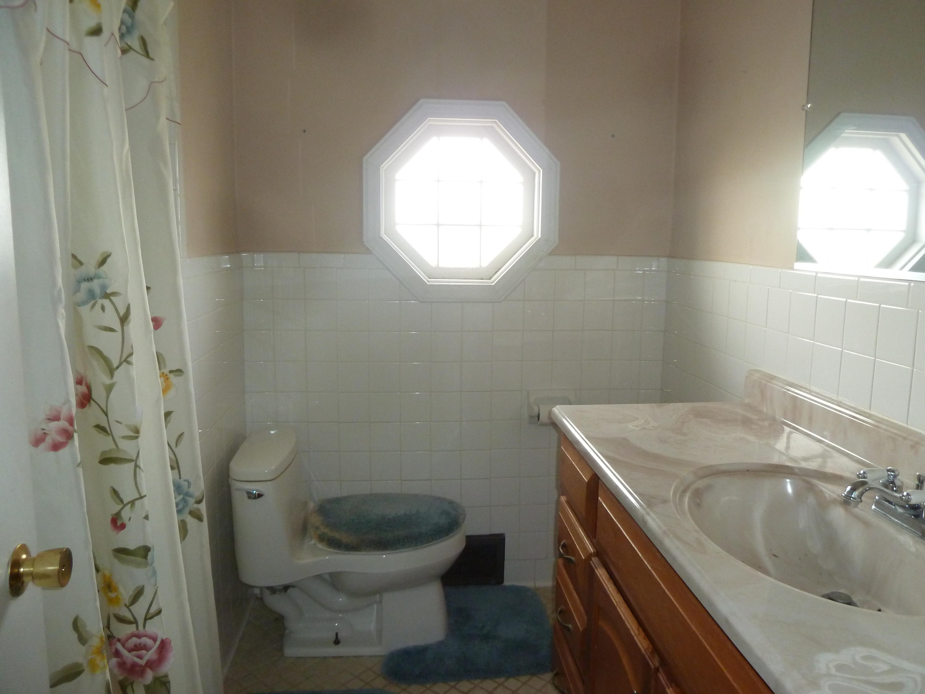 13692 West Gretna Road Sandy Level, VA 24161 - Photo 24 of 58 a bathroom with a sink a toilet and a mirror