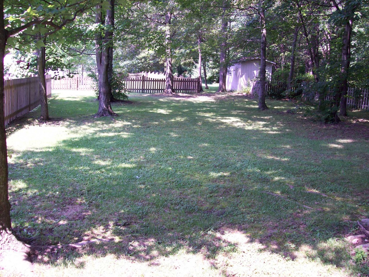 6218 Buckland Mill Road Roanoke, VA 24019 - Photo 3 of 16 Shady Backyard