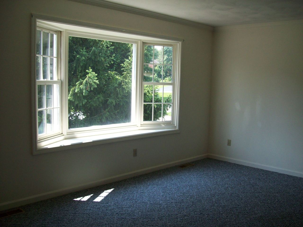 6218 Buckland Mill Road Roanoke, VA 24019 - Photo 7 of 16 Picture Window in Living Room