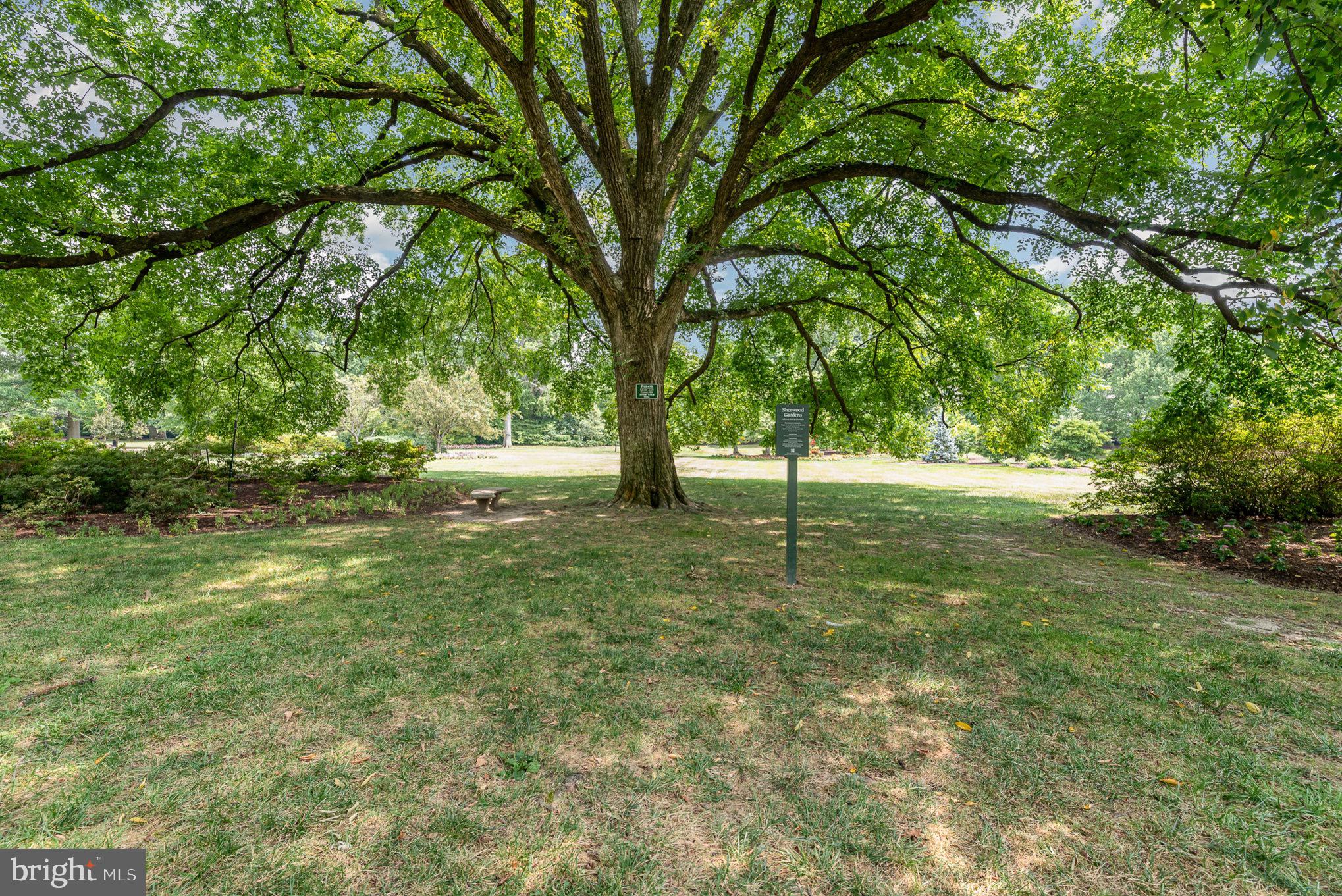 316 Suffolk Road Baltimore, MD 21218 - Photo 40 of 40 Sherwood Gardens is a short walk away