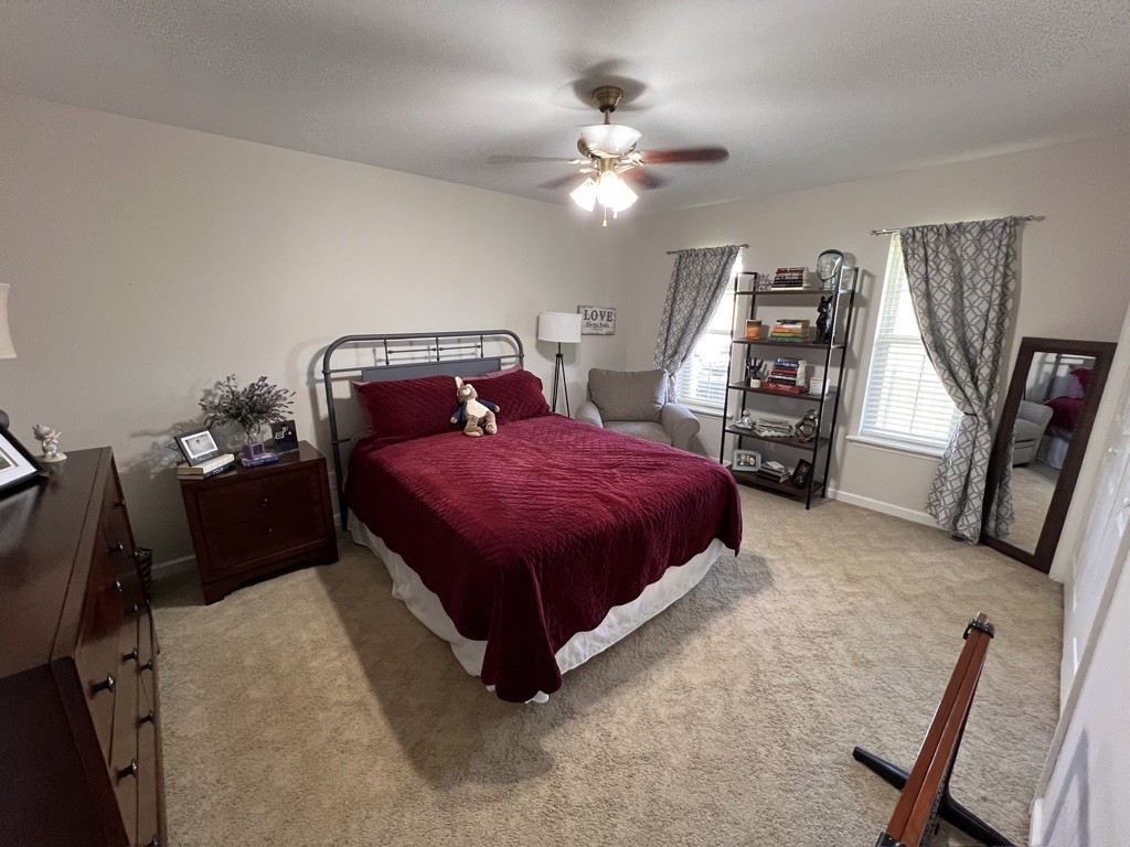 455 Morgan Ridge North Coalmont, TN 37387 - Photo 30 of 42