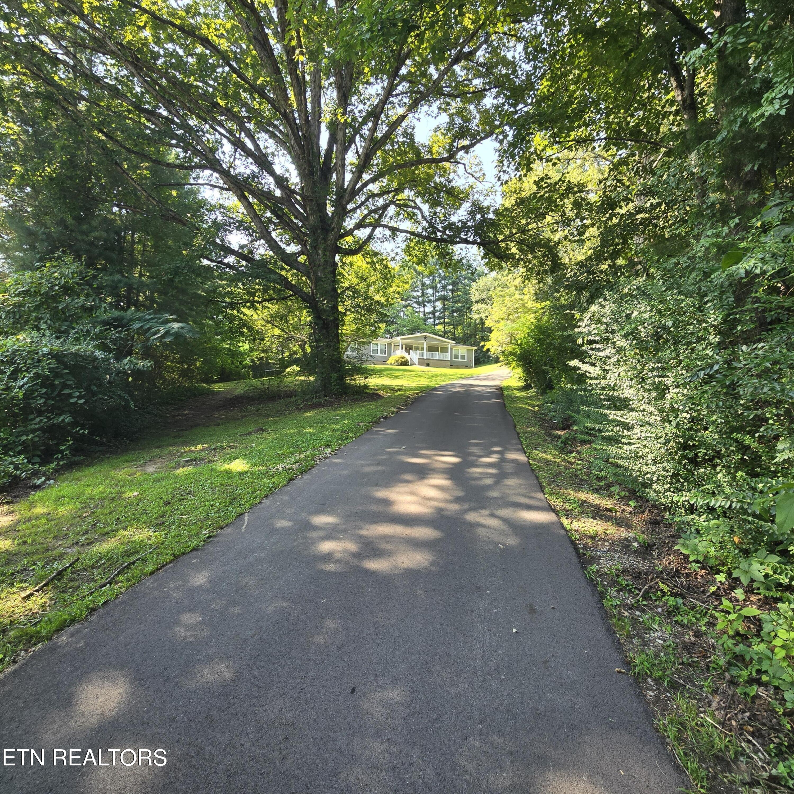836 Hillvale Road Andersonville, TN 37705 - Photo 8 of 34 20240805_164000