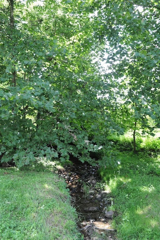963 Cynthiana Road Paris, KY 40361 - Photo 6 of 21 Photo 6