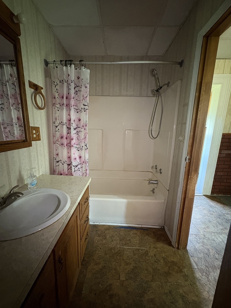 411 Depot Street Mazon, IL 60444 - Photo 13 of 34 a bathroom with a sink a bathtub and shower