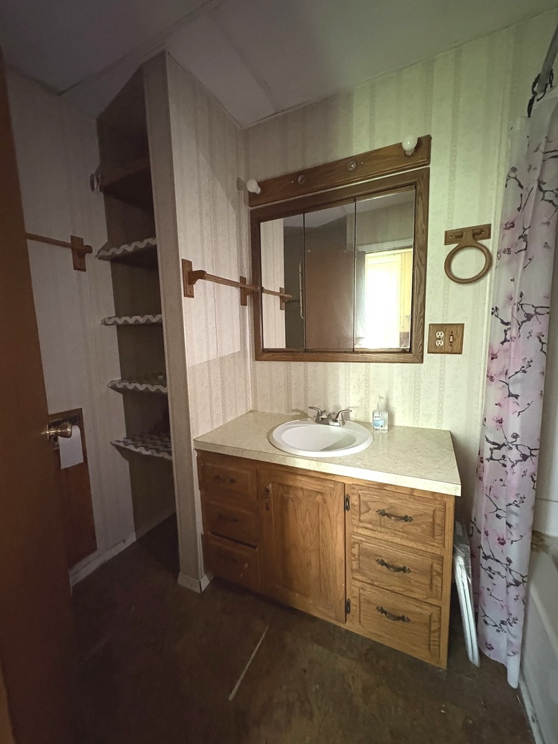 411 Depot Street Mazon, IL 60444 - Photo 14 of 34 a bathroom with a granite countertop sink and a mirror