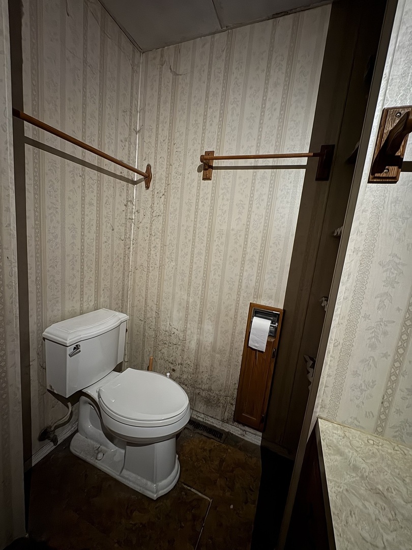 411 Depot Street Mazon, IL 60444 - Photo 15 of 34 a white toilet sitting next to a sink