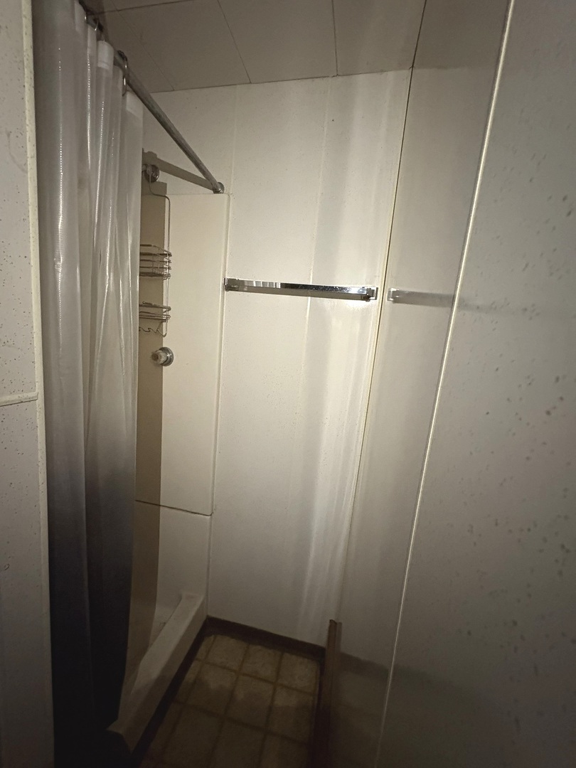 411 Depot Street Mazon, IL 60444 - Photo 27 of 34 a bathroom with a shower