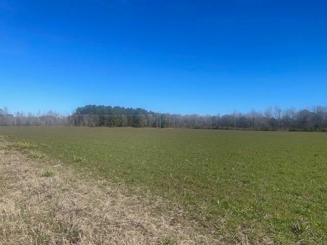 0 Bar M Farm Road Andalusia, AL 36420 - Photo 2 of 8 Gallery Image 2