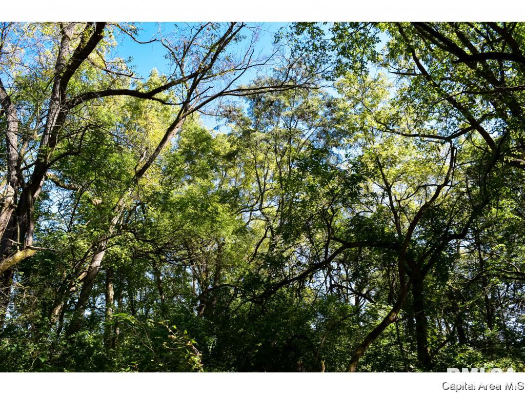 Turkey Run Road Riverton, IL 62561 - Photo 6 of 12 Gallery Image 6