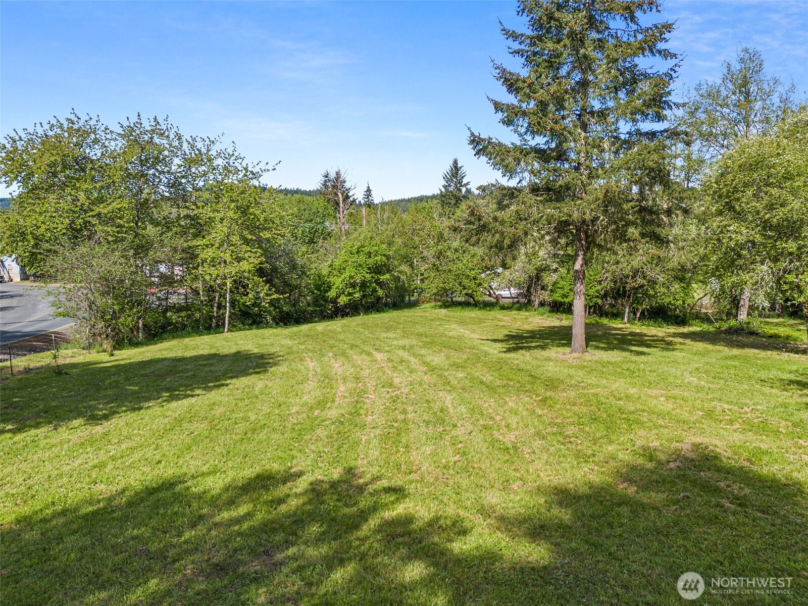312 McGlaughlin Road Winlock, WA 98596 - Photo 26 of 40 a view of a trees with a yard
