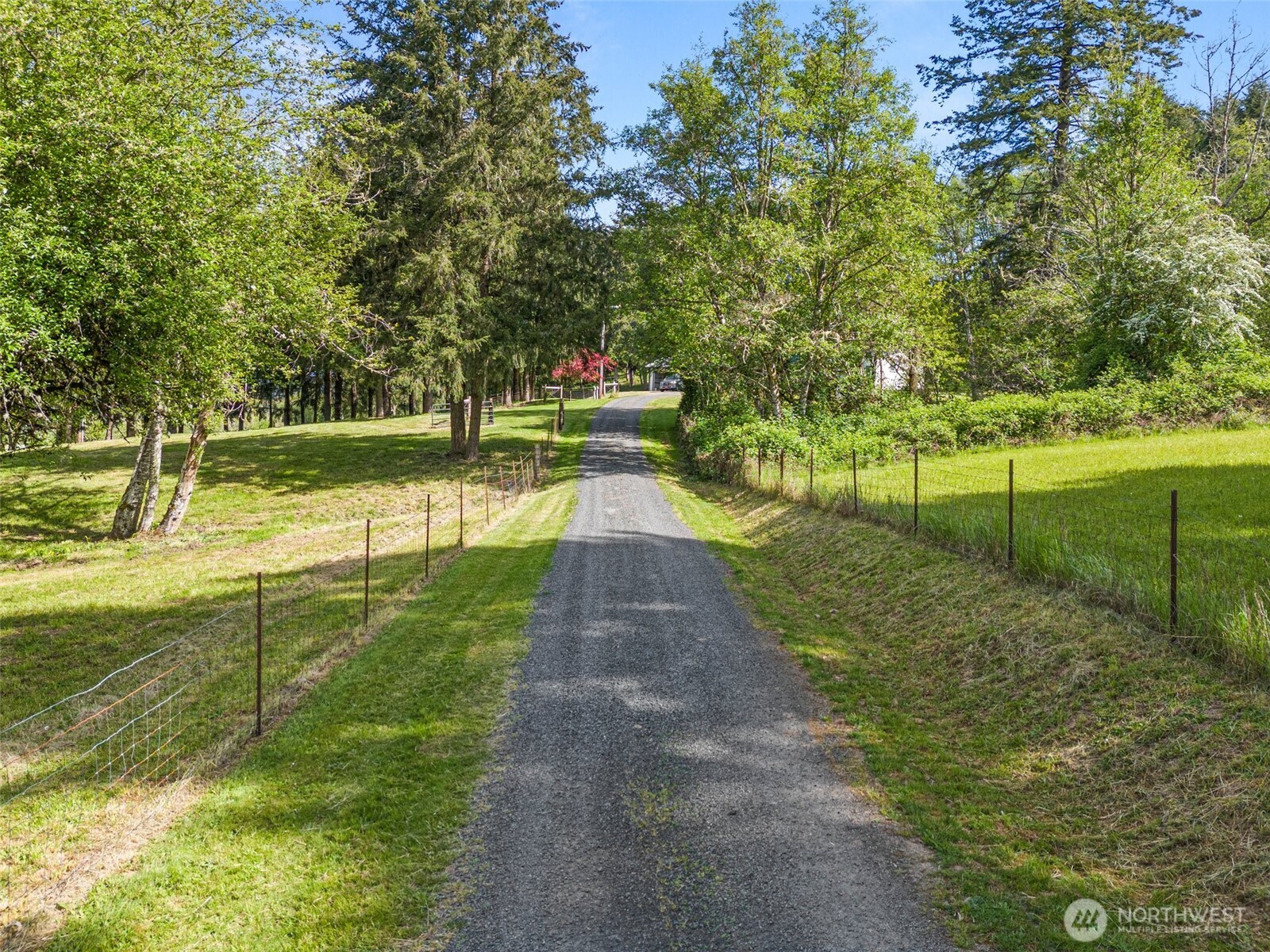 312 McGlaughlin Road Winlock, WA 98596 - Photo 30 of 40 a view of a park with large trees