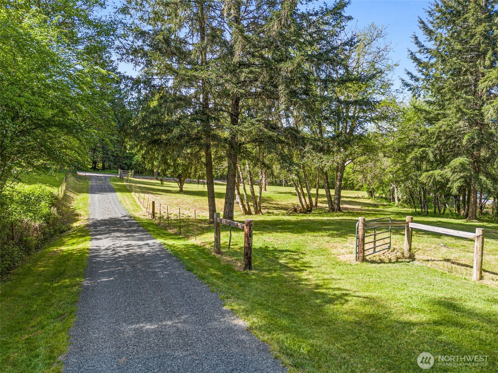 312 McGlaughlin Road Winlock, WA 98596 - Photo 31 of 40 a view of a park with large trees