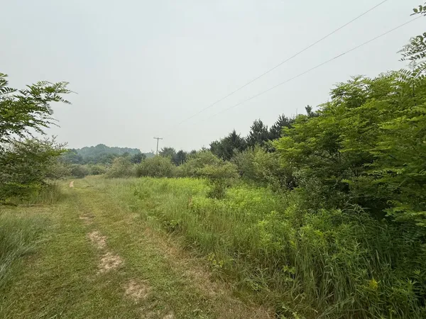 $125,000 | 20-acres East M-30 Highway, Alger, MI 48610