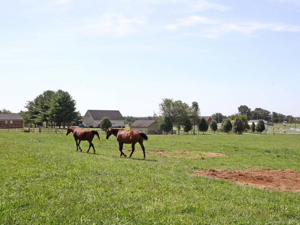 1278 George Brown Road Crouse, NC 28033 - Photo 22 of 23 Gallery Image 22