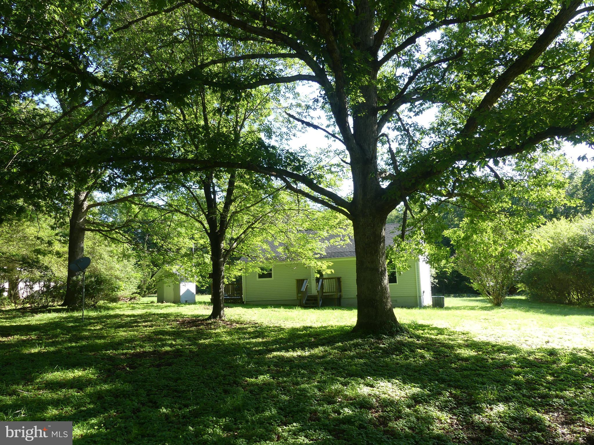 29238 Raccoon Ford Road Burr Hill, VA 22433 - Photo 2 of 30 Beautiful wooded backyard