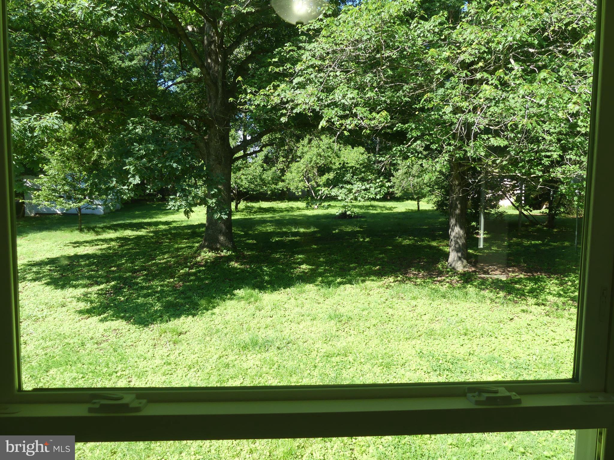 29238 Raccoon Ford Road Burr Hill, VA 22433 - Photo 9 of 30 Wake up to this every morning!