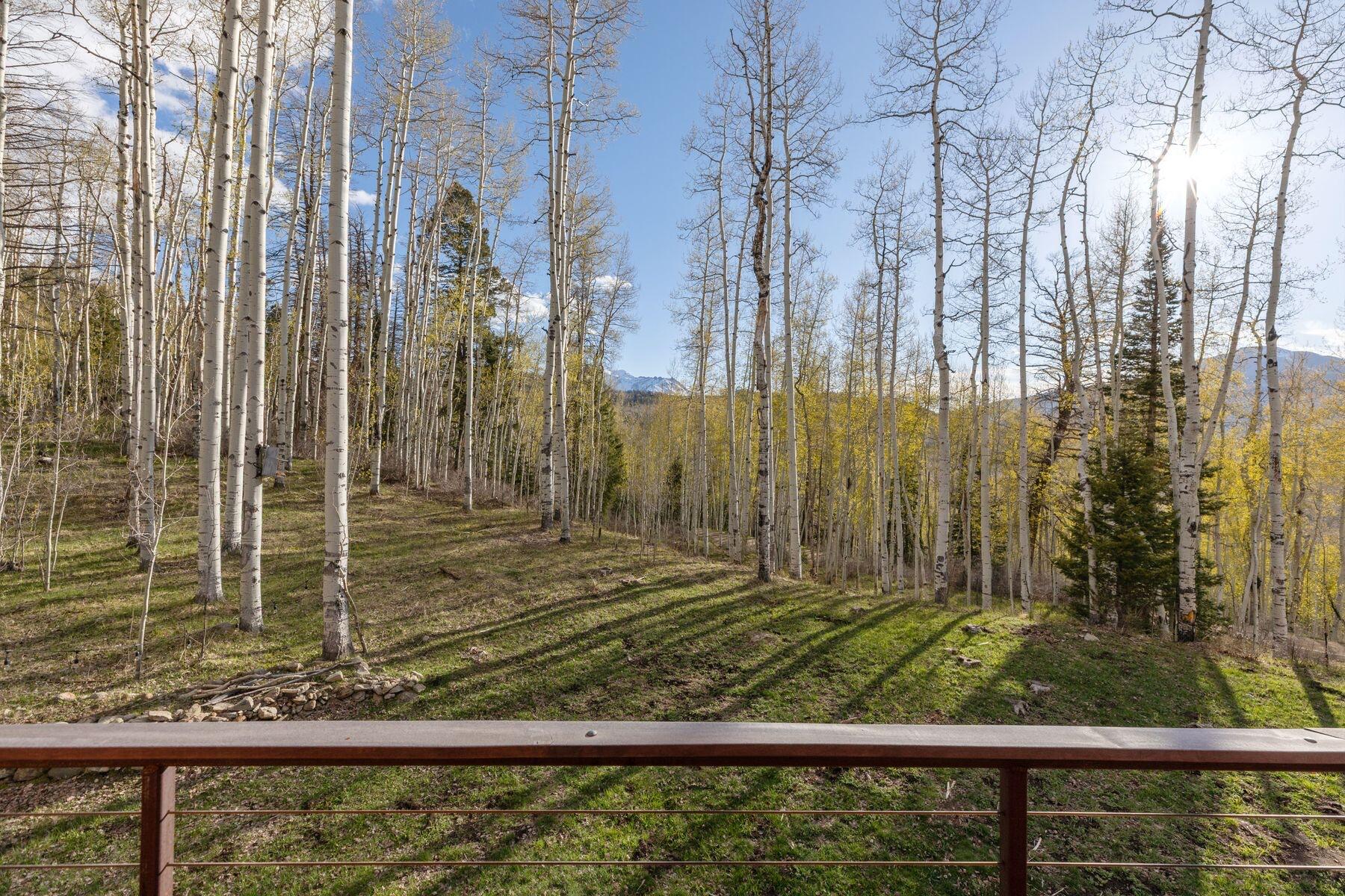 654 Woods Road Placerville, CO 81430 - Photo 14 of 31 Upstairs Deck