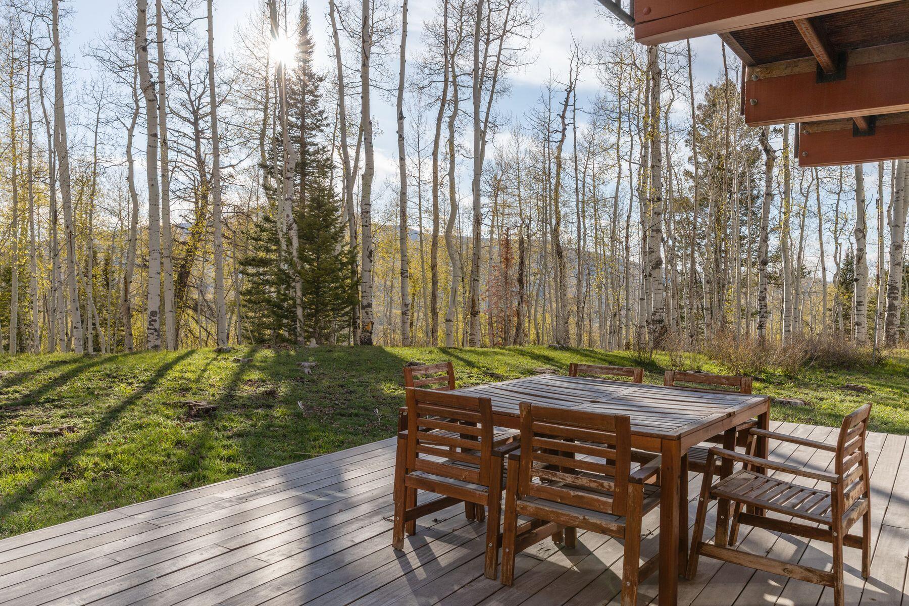 654 Woods Road Placerville, CO 81430 - Photo 17 of 31 Deck