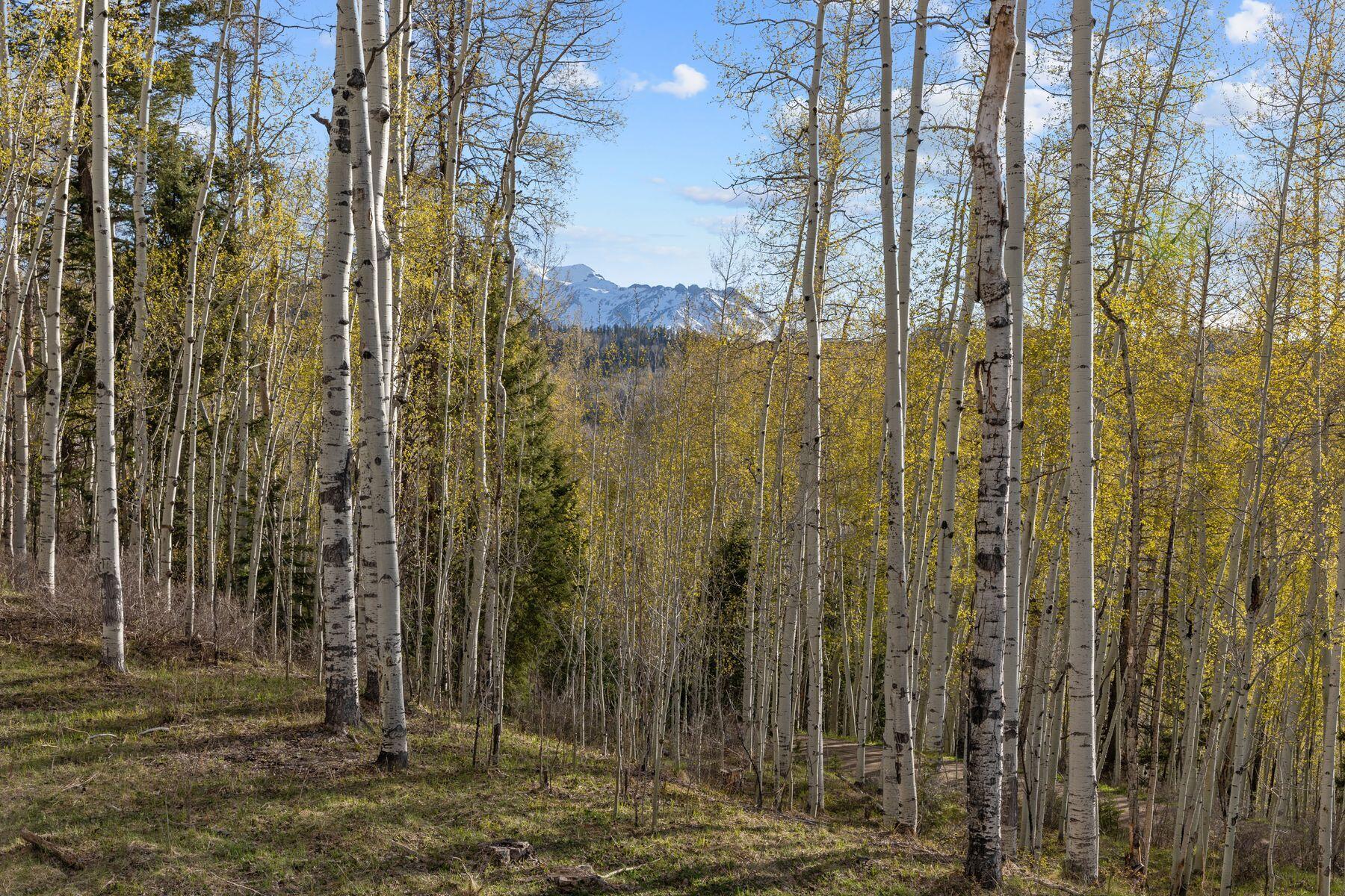 654 Woods Road Placerville, CO 81430 - Photo 18 of 31 Views
