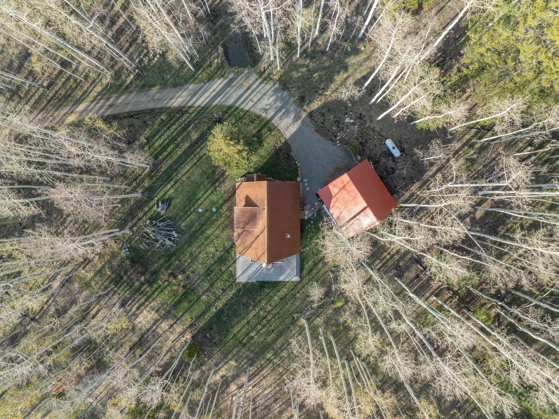 654 Woods Road Placerville, CO 81430 - Photo 30 of 31 Overhead