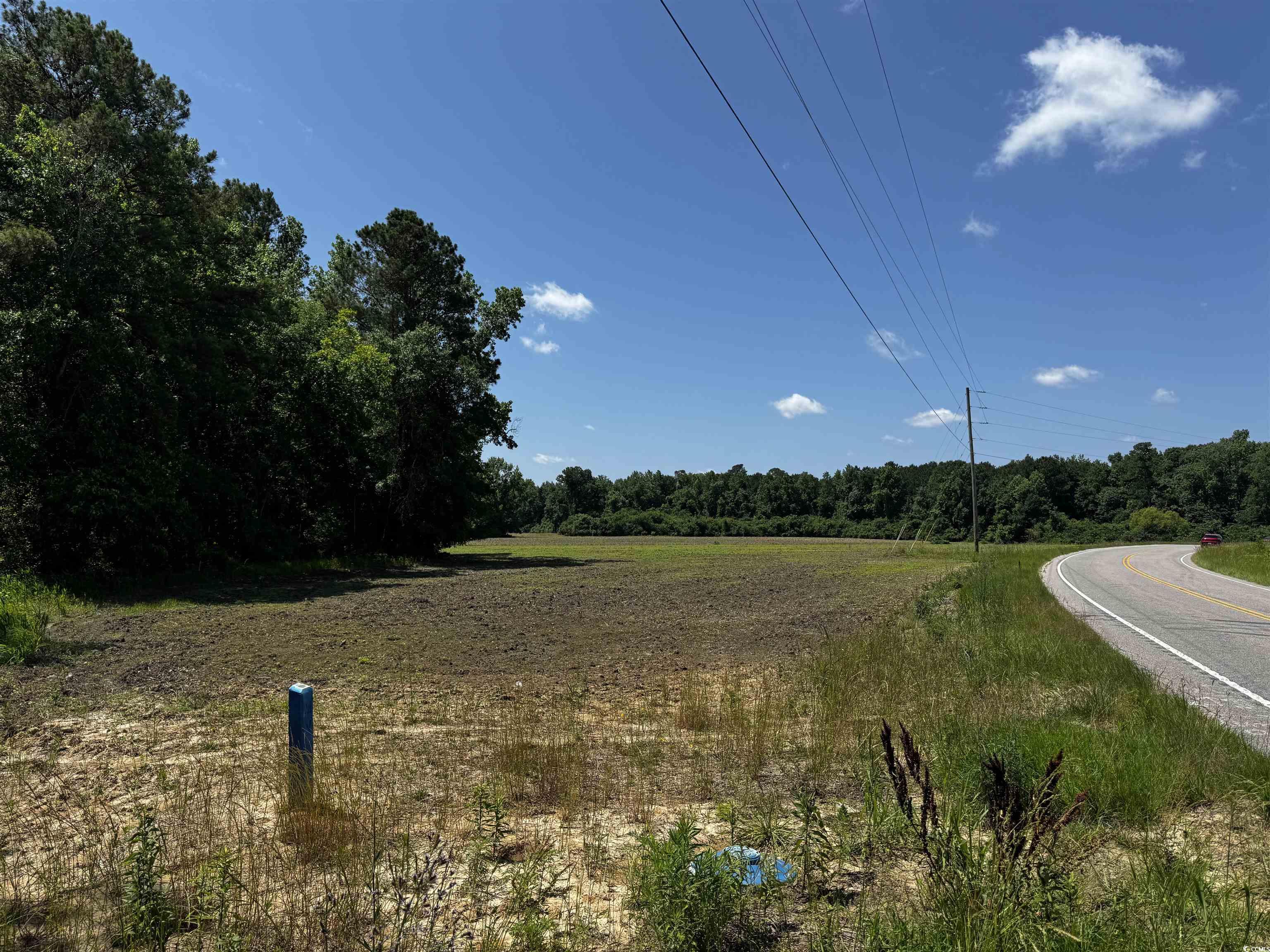 View of asphalt road with a view of trees