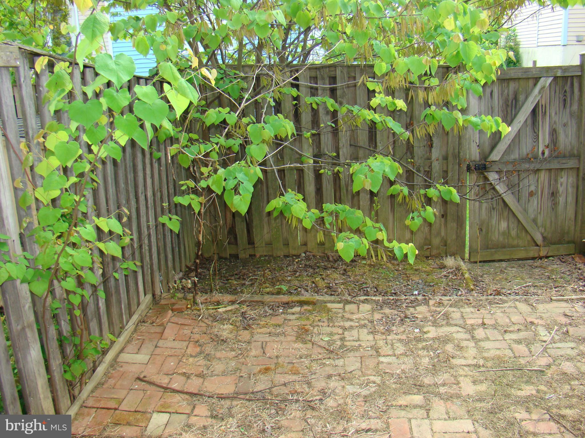 3609 Castle Terrace, Unit 11596 Silver Spring, MD 20904 - Photo 11 of 12 BACKYARD