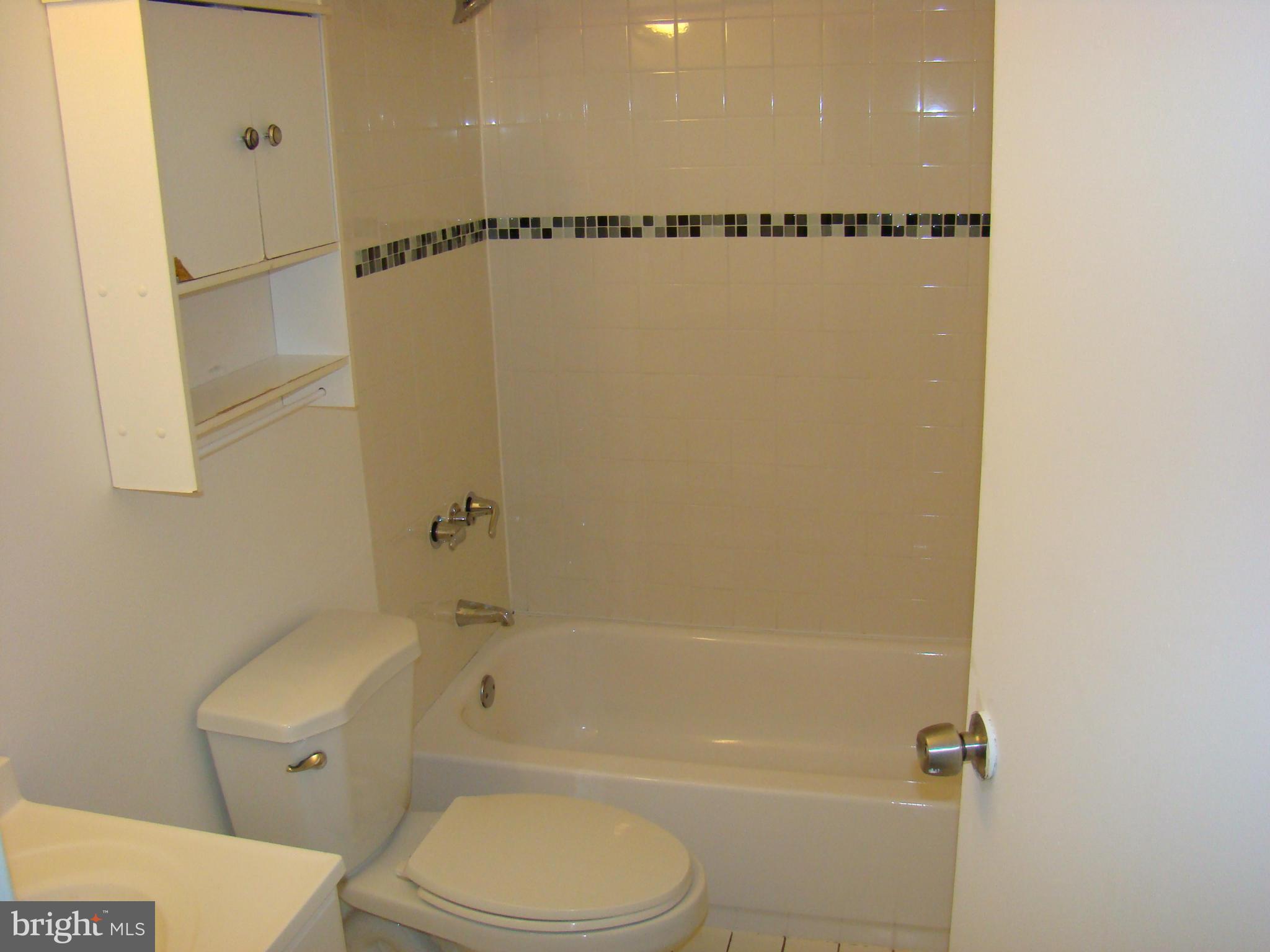 3609 Castle Terrace, Unit 11596 Silver Spring, MD 20904 - Photo 7 of 12 Bath (Master)