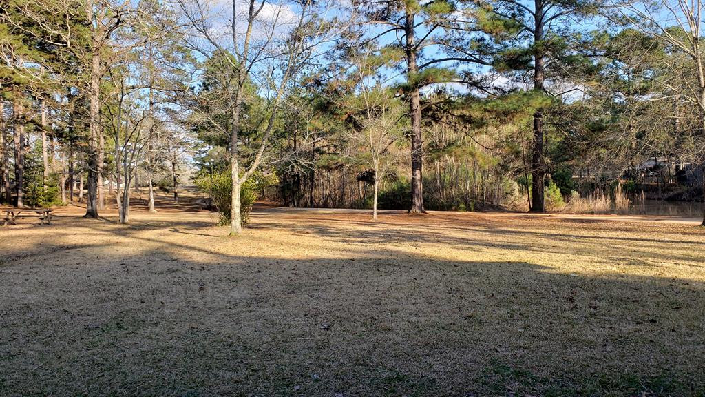 113 Timberlane Road Monticello, MS 39654 - Photo 54 of 69 Photo 54