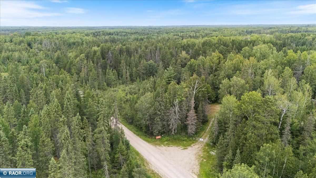 Tbd Pulkinen Road Embarrass, MN 55732 - Photo 11 of 15