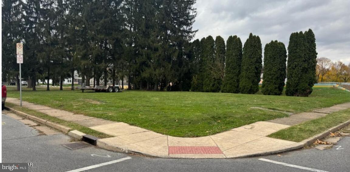 a view of a park with large trees