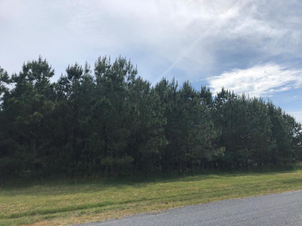 Lot 3 Green Landing Road, Unit 3 Onancock, VA 23417 - Photo 8 of 43