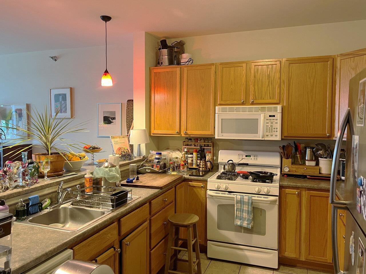 410 Farrell Street, Unit 415 South Burlington, VT 05403 - Photo 4 of 15