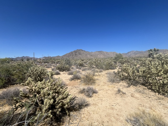 11108 Alvis Road Yucca, AZ 86438 - Photo 11 of 20