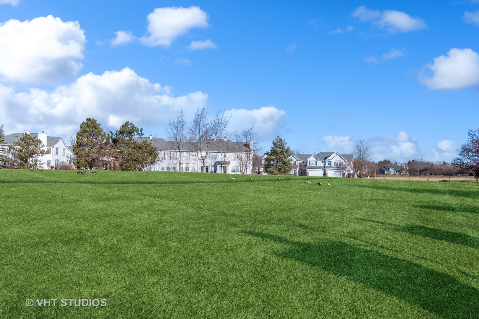 1338 Filly Lane Bartlett, IL 60103 - Photo 16 of 18 a view of building with garden