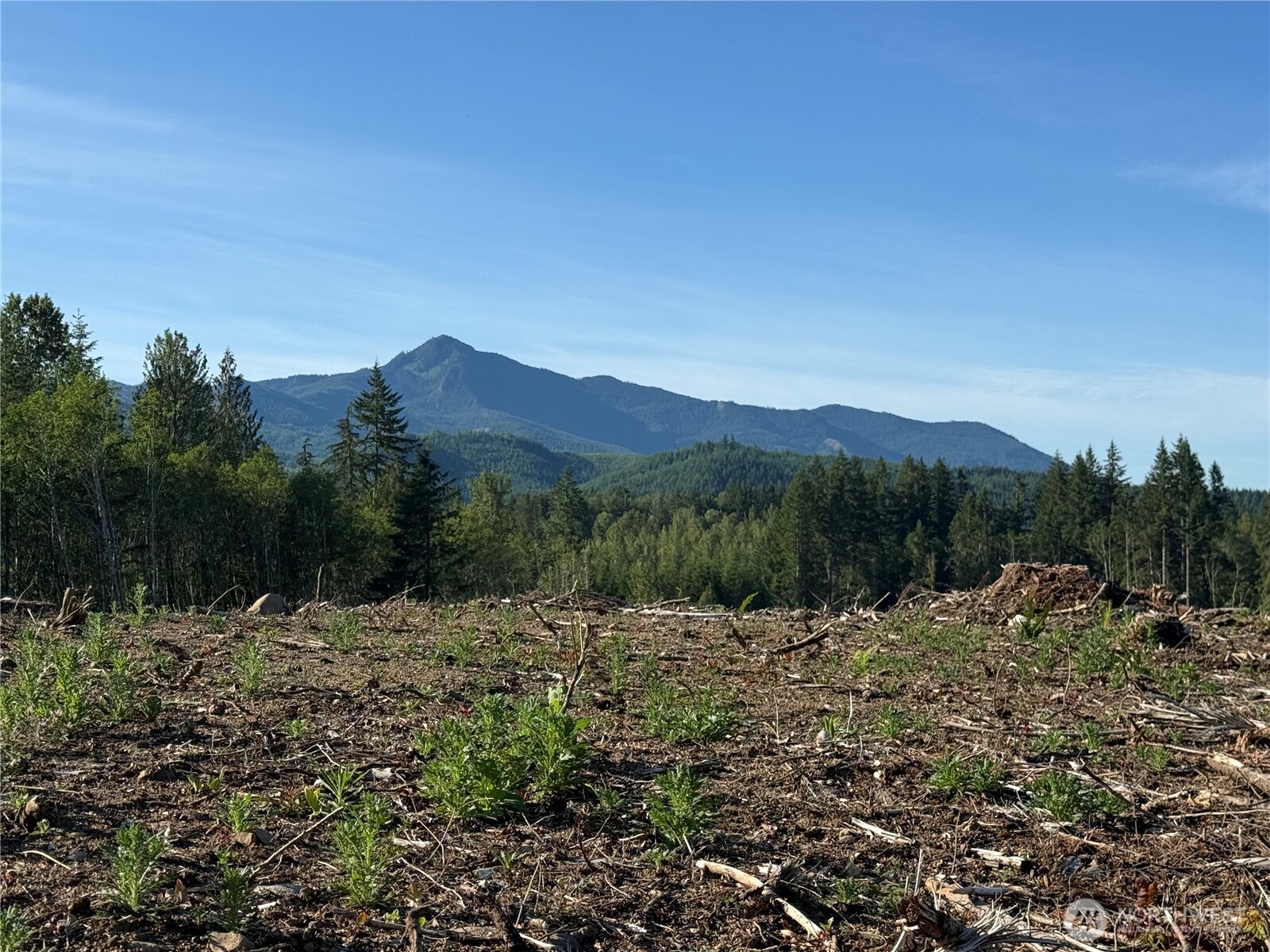 215 Mineral Road North Mineral, WA 98355 - Photo 19 of 29