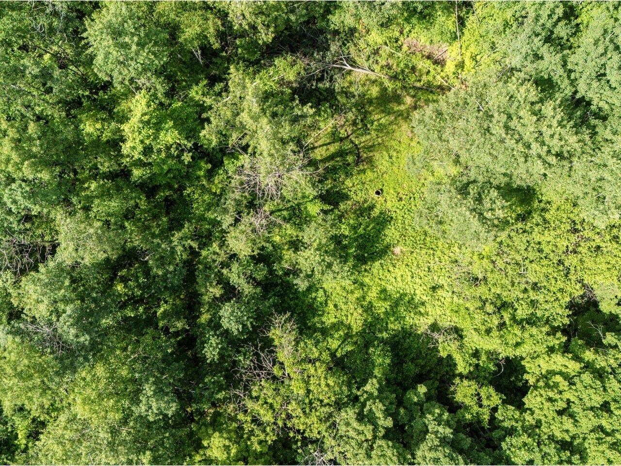 Lot 4 Homestead Drive Charlotte, VT 05445 - Photo 5 of 10