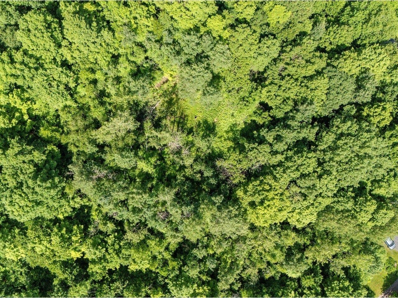 Lot 4 Homestead Drive Charlotte, VT 05445 - Photo 10 of 10