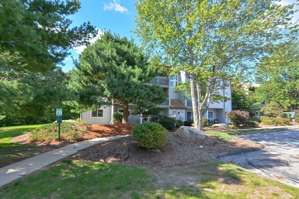 801 Franklin Crossing Road, Unit 801 Franklin, MA 02038 - Photo 31 of 38 a view of a yard with plants and large trees