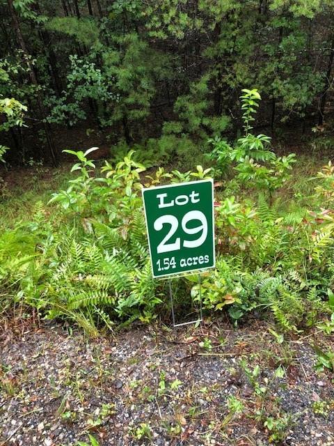 Lot 29 Hunter's Ridge Morganton, GA 30560 - Photo 1 of 1 Gallery Image 1