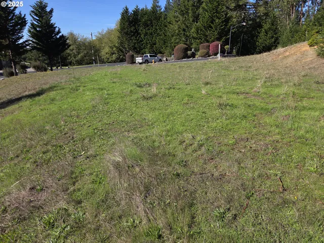 a view of a field of grass and trees